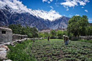 Scrutinising UK aid in a changing landscape.