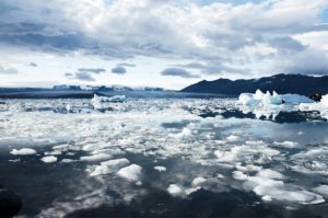 World leaders decide the future of our climate. Pexels