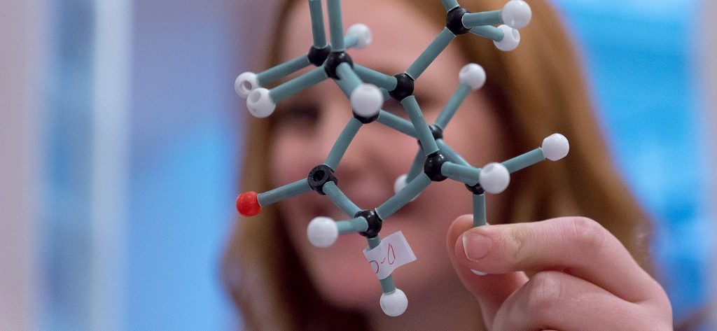 How the Wellcome Trust invests in science